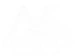 NexSole